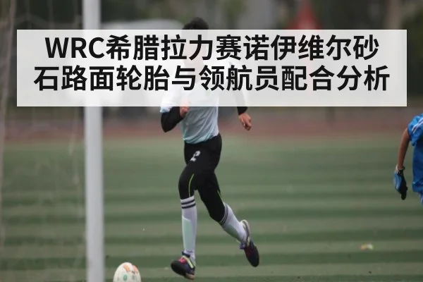 WRC希腊拉力赛诺伊维尔砂石路面轮胎与领航员配合分析