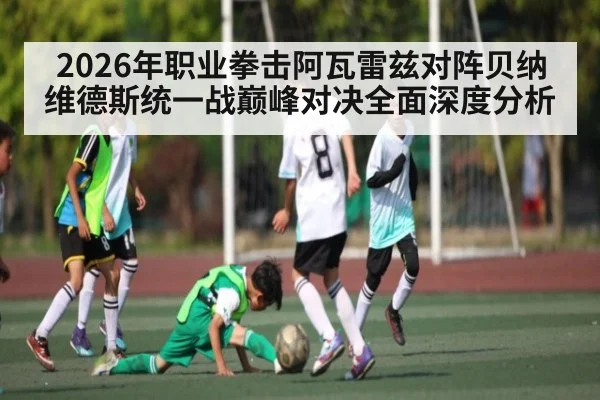 2026年职业拳击阿瓦雷兹对阵贝纳维德斯统一战巅峰对决全面深度分析