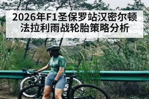 2026年F1圣保罗站汉密尔顿法拉利雨战轮胎策略分析